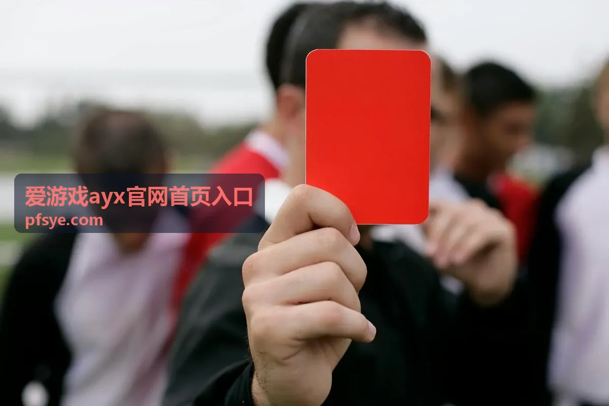 爱游戏ayx功能模块分组示意